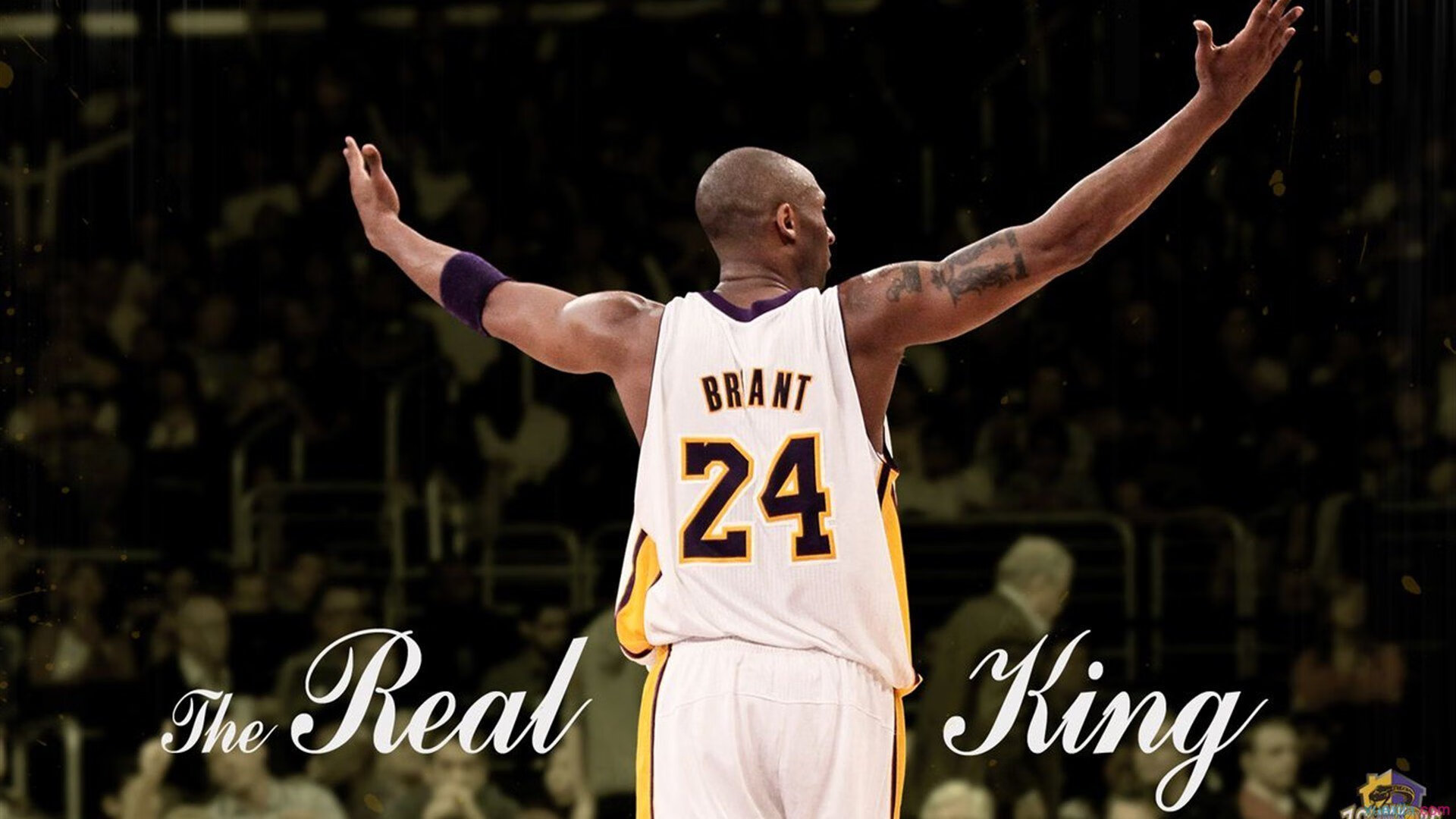 范弗利特节奏,当掌控成为总决赛的终极武器